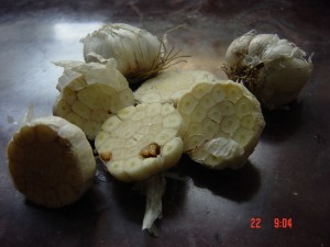 Put pieces of cut garlic at different locations in house to destroy the flu virus.